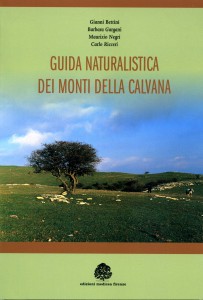 copertina_guidacalvana194